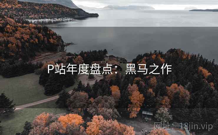 P站年度盘点：黑马之作