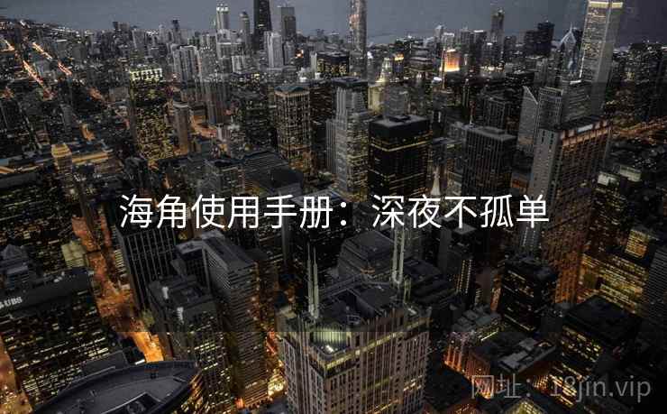 海角使用手册：深夜不孤单